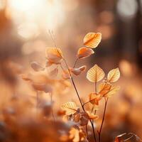 Sanft Fokus Herbst Blätter im warm Farbtöne foto
