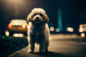 ein Hund Stehen auf das Straße beim Nacht. KI-generiert foto