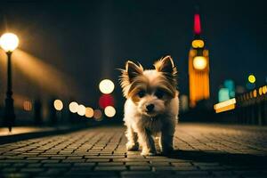 ein klein Hund ist Gehen auf ein Straße beim Nacht. KI-generiert foto