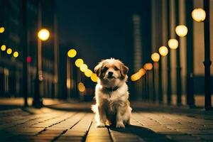 ein Hund Sitzung auf ein Backstein Gehweg beim Nacht. KI-generiert foto