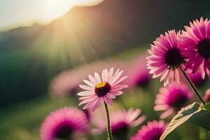 Rosa Blumen im das Sonne. KI-generiert foto