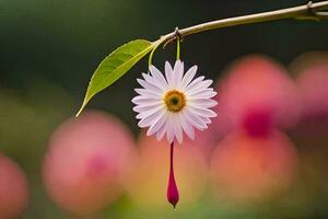 ein Single Blume hängend von ein Ast. KI-generiert foto