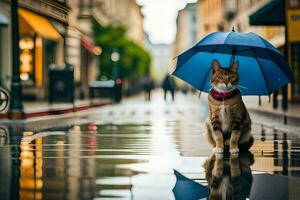 ein Katze ist Stehen im das Regen mit ein Regenschirm. KI-generiert foto