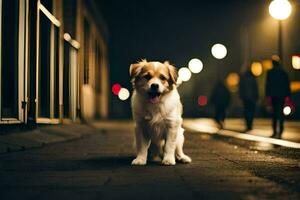 ein Hund Stehen auf das Straße beim Nacht. KI-generiert foto