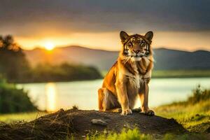 ein Tiger Sitzung auf das Boden beim Sonnenuntergang. KI-generiert foto