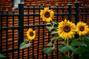 Sonnenblumen wachsend im Vorderseite von ein schwarz Zaun. KI-generiert foto