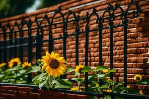 ein Backstein Mauer mit ein bearbeitet Eisen Zaun und Sonnenblumen. KI-generiert foto