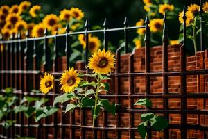 Sonnenblumen sind wachsend im ein Zaun in der Nähe von ein Backstein Mauer. KI-generiert foto