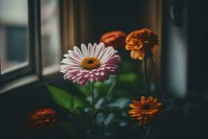 ein Blume ist Sitzung im Vorderseite von ein Fenster. KI-generiert foto