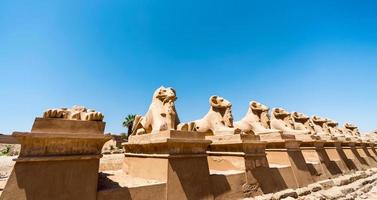 Antike Statuen vieler Schafe im Karnak-Tempel in Luxus