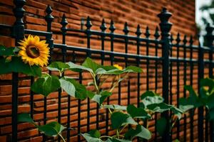 ein schwarz Eisen Zaun mit ein Sonnenblume wachsend auf Es. KI-generiert foto