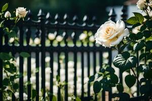 Weiß Rosen im Vorderseite von ein schwarz bearbeitet Eisen Zaun. KI-generiert foto