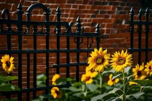 Sonnenblumen im Vorderseite von ein schwarz Eisen Zaun. KI-generiert foto