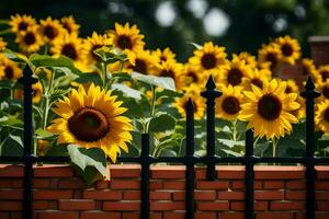 Sonnenblumen sind wachsend im ein Backstein Mauer. KI-generiert foto