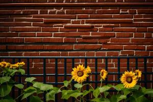 Sonnenblumen im Vorderseite von ein Backstein Mauer. KI-generiert foto