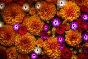 ein groß Gruppe von bunt Blumen sind vereinbart worden im ein Muster. KI-generiert foto