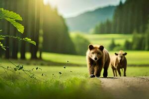 zwei braun Bären Gehen Nieder ein Pfad im das Wald. KI-generiert foto