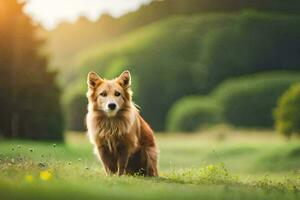 ein Hund Sitzung im das Gras auf ein sonnig Tag. KI-generiert foto