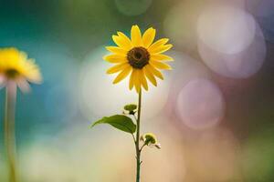 zwei Gelb Sonnenblumen sind Stehen im Vorderseite von ein verschwommen Hintergrund. KI-generiert foto