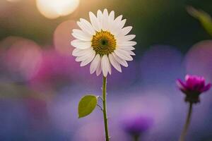 ein Single Weiß Blume ist im das Vordergrund von ein Feld. KI-generiert foto