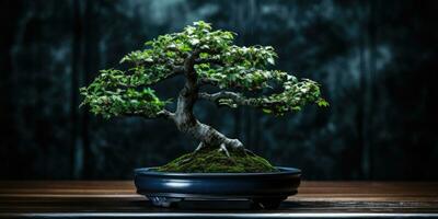 Bonsai Baum auf ein dunkel Hintergrund. Minimalismus. generativ ai foto