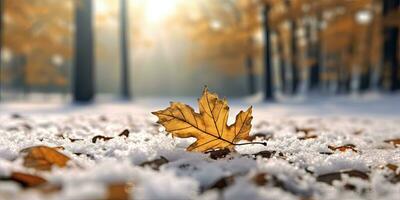 Winter Fotografie. Herbst Blatt im das Park auf das Schnee. Winter Fotografie. generativ ai foto