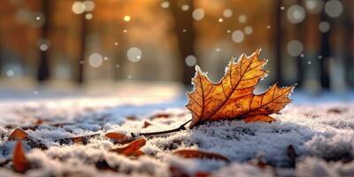 Winter Fotografie. Herbst Blatt im das Park auf das Schnee. Winter Fotografie. generativ ai foto