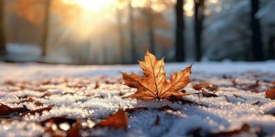 Winter Fotografie. Herbst Blatt im das Park auf das Schnee. Winter Fotografie. generativ ai foto