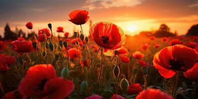 Mohn Tag. Erinnerung von alle das Soldaten Wer ist gestorben im Kriege miteinbeziehen großartig Großbritannien. generativ ai foto