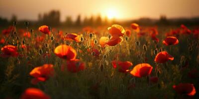 Feld von Mohnblumen beim Dämmerung. Mohn Tag. Erinnerung von alle das Soldaten Wer ist gestorben im Kriege miteinbeziehen großartig Großbritannien. generativ ai foto