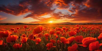 Feld von Mohnblumen beim Dämmerung. Mohn Tag. Erinnerung von alle das Soldaten Wer ist gestorben im Kriege miteinbeziehen großartig Großbritannien. generativ ai foto