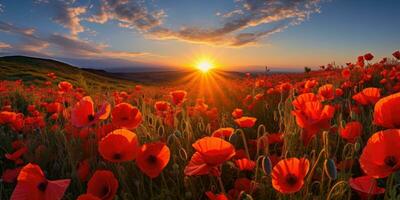 Feld von Mohnblumen beim Dämmerung. Mohn Tag. Erinnerung von alle das Soldaten Wer ist gestorben im Kriege miteinbeziehen großartig Großbritannien. generativ ai foto