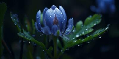 Blau Blumen auf ein dunkel Hintergrund mit Tau Tropfen. generativ ai foto
