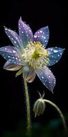 Pulsatilla Blume mit Regentropfen. Bild zum ein Poster oder Postkarte. generativ ai foto