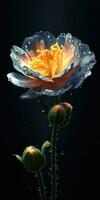 schön Adonis Blume mit Regentropfen. Foto zum Poster oder Hintergrund. generativ ai