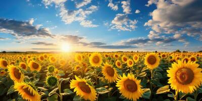 Feld von Blühen Sonnenblumen auf Hintergrund Sonnenuntergang. generativ ai foto
