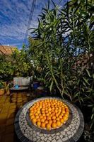 Orangen auf dem Terrassengartentisch foto