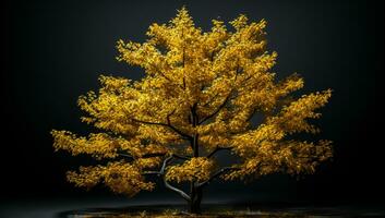 Baum mit Herbst Farben isoliert auf dunkel Hintergrund. ai generiert foto
