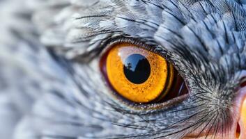 Nahansicht von ein Vogel Auge mit großartig Detail. ai generiert foto