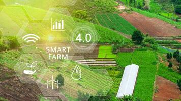 Clever Bauernhof, Landwirtschaft Konzept mit Infografiken Clever Landwirtschaft und Präzision Landwirtschaft 4.0 mit visuell Symbol, Digital Technologie Landwirtschaft und Clever Landwirtschaft Konzept. foto