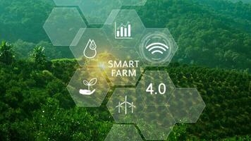 Clever Bauernhof, Landwirtschaft Konzept mit Infografiken Clever Landwirtschaft und Präzision Landwirtschaft 4.0 mit visuell Symbol, Digital Technologie Landwirtschaft und Clever Landwirtschaft Konzept. foto