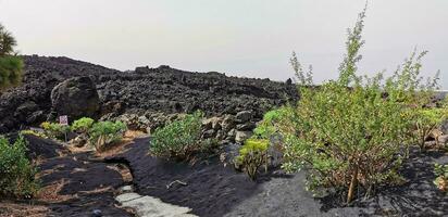 erstarrt vulkanisch Lava Strom von das cumbre vieja Vulkan auf das Insel von la Palma foto