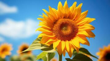 Sonnenblume mit Blau Himmel ai generiert foto