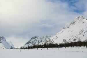 Winter Landschaft Berge mit Schnee foto