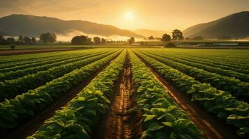 Landwirtschaft Bauernhof Natur ai generiert foto