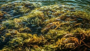 beschwingt unter Wasser Seetang Wald Illustration. ai generiert foto