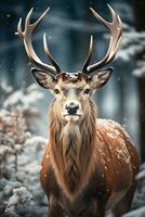 Hirsch auf Schnee Natur Hintergrund, ai generiert foto