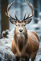 Hirsch auf Schnee Natur Hintergrund, ai generiert foto