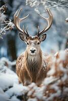 Hirsch auf Schnee Natur Hintergrund, ai generiert foto