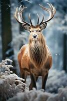 Hirsch auf Schnee Natur Hintergrund, ai generiert foto